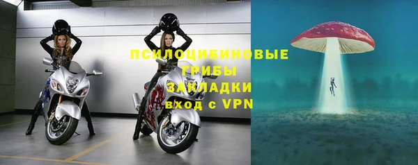 PSILOCYBIN Алзамай