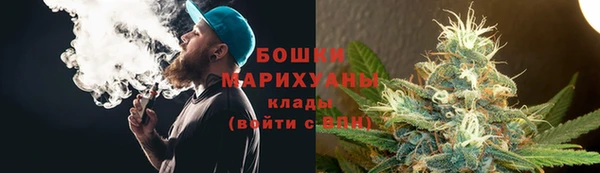 PSILOCYBIN Алзамай