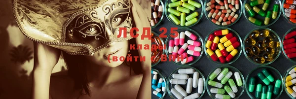 PSILOCYBIN Алзамай