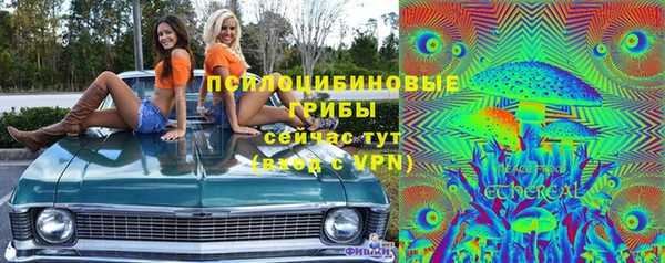 PSILOCYBIN Алзамай