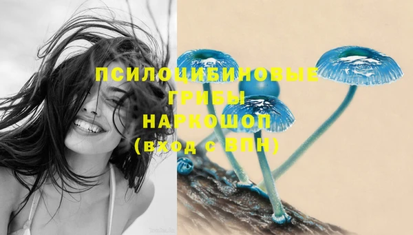 шишки Алексеевка